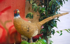 Résultats du concours amicale 3D