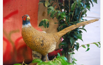 Résultats du concours amicale 3D