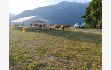 Concours 3D des Edelweiss à Bourg-Saint-Maurice