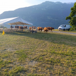 Concours 3D des Edelweiss à Bourg-Saint-Maurice